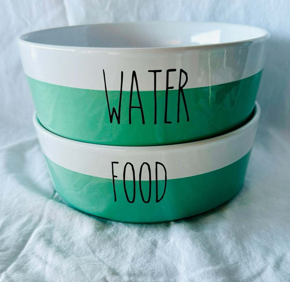 Rae Dunn Magenta Mint Ceramic Food and Water Pet Bowls Set